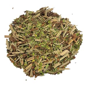 Moringa Morning
