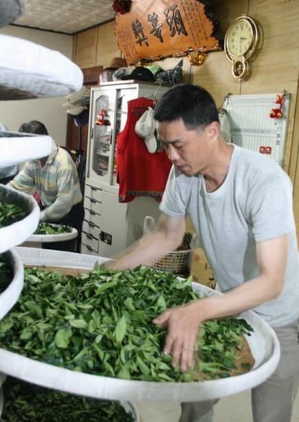 man working with tea