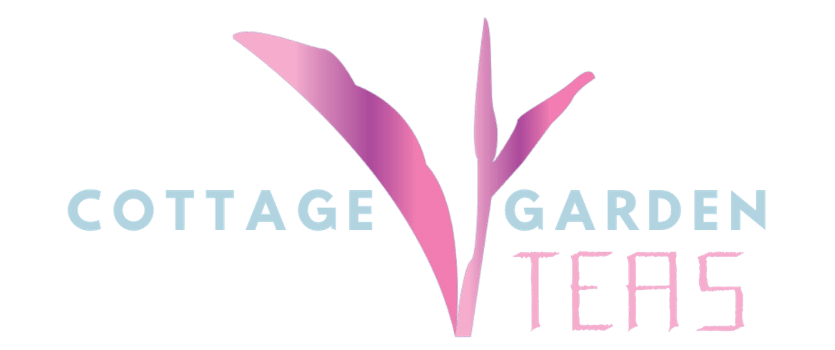 cgt site logo transparent 835x350